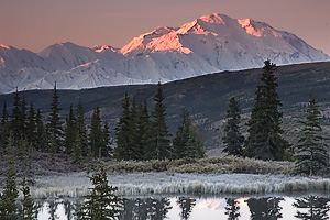 On a clear day you can see Mt. McKinley from Camp Denali.